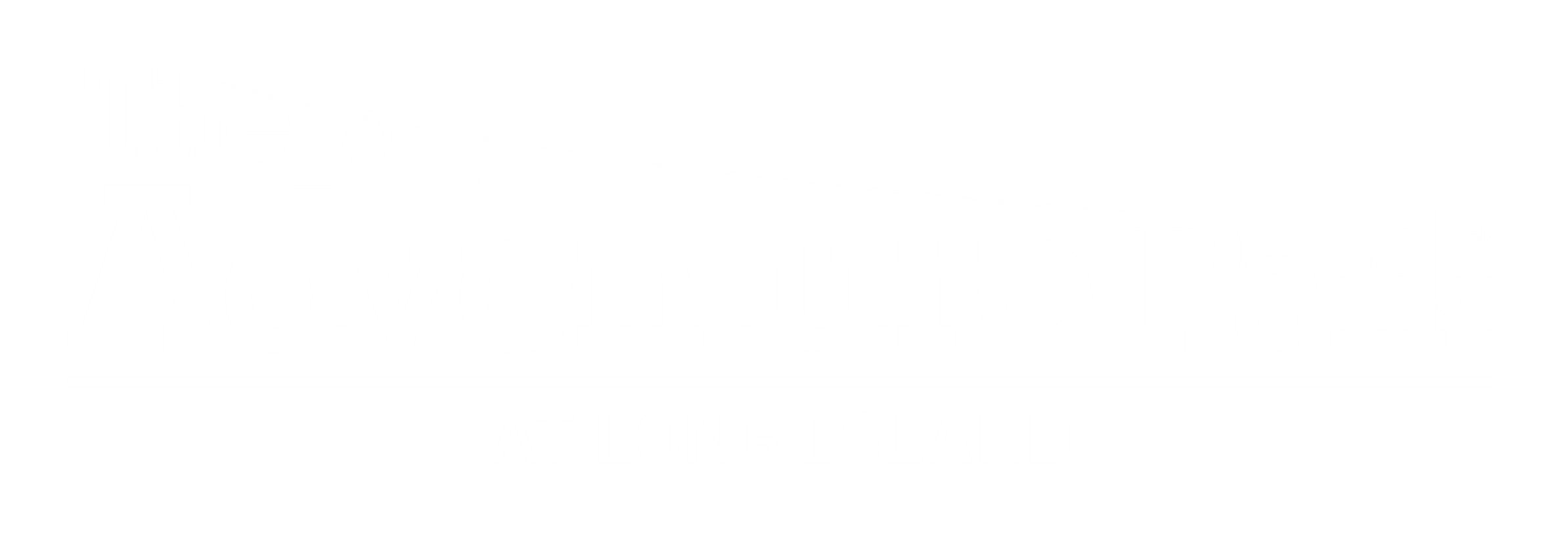 The Adventure Park at LongIsland